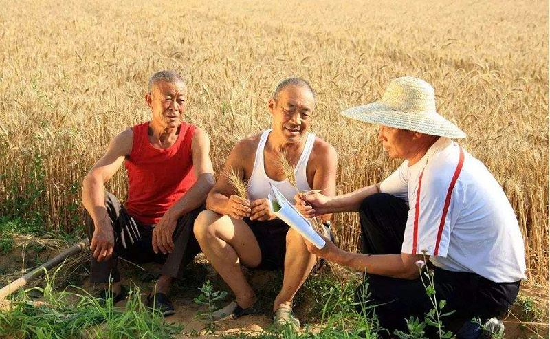 農民：人們的衣食父母